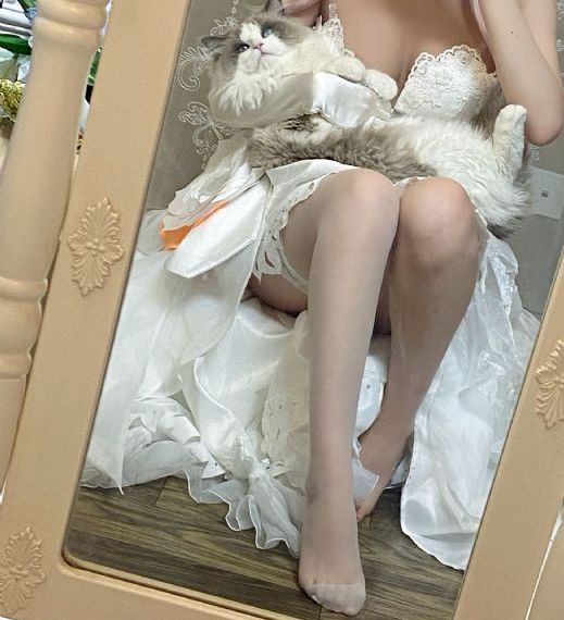 黄色一区视频_720影视在线观看