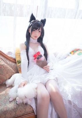 八戒八戒在线影视免费观看_HD免费观看视频